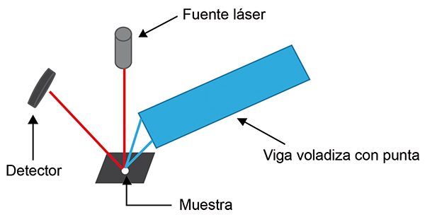 Descripción: Imagen 4