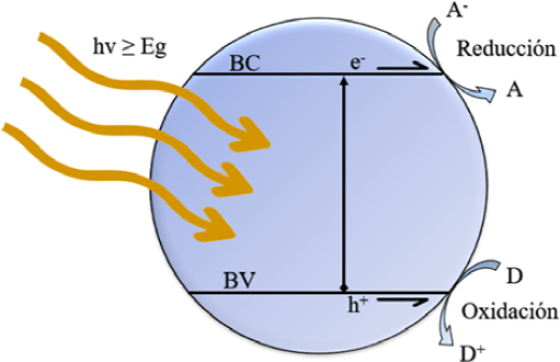 2448-5691-mn-17-32-e00090-gf1.png