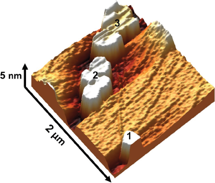 2448-5691-mn-17-32-e00083-gf10.png