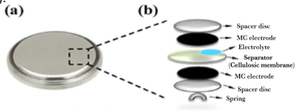 2448-5691-mn-17-33-00005-gf1.png