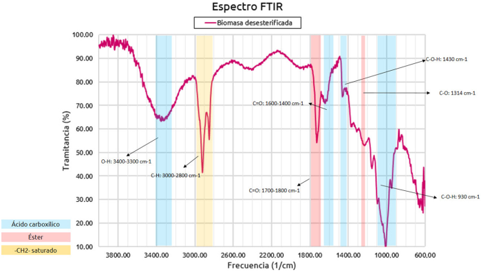 2448-5691-mn-18-34-e69834-gf3.png