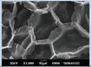 2448-5691-mn-18-34-e69834-i006.png