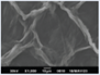 2448-5691-mn-18-34-e69834-i008.png