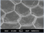 2448-5691-mn-18-34-e69834-i010.png