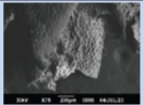 2448-5691-mn-18-34-e69834-i018.png