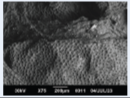 2448-5691-mn-18-34-e69834-i020.png