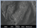 2448-5691-mn-18-34-e69834-i022.png