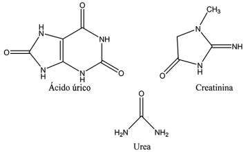 2448-5691-mn-18-34-e69837-gf2.png